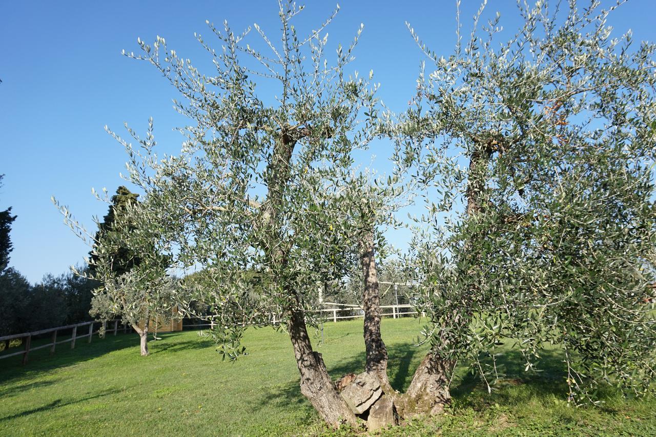 Residenza Piandaccoli Lastra a Signa